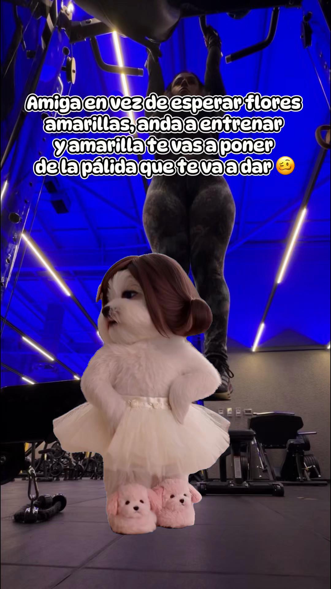 @Ninoska ๐ซง