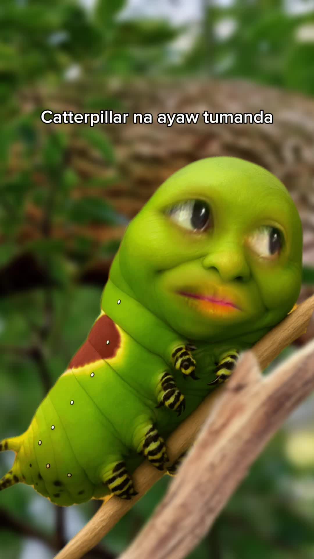 @BAET