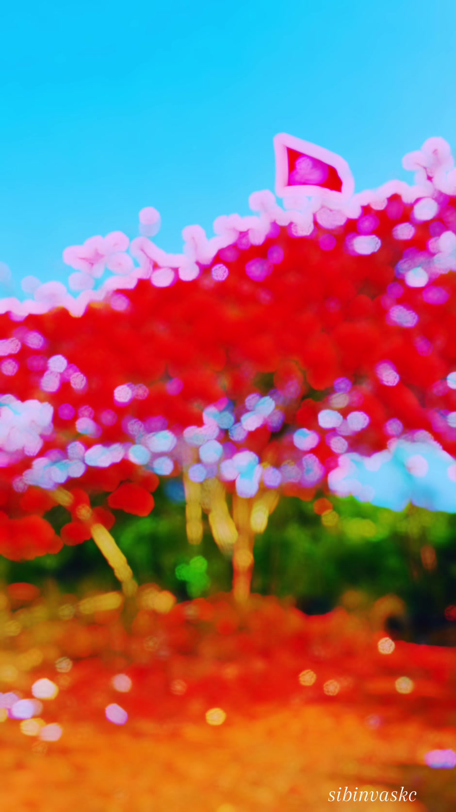 @തെയ്യപ്രാന്തൻ ❤️
