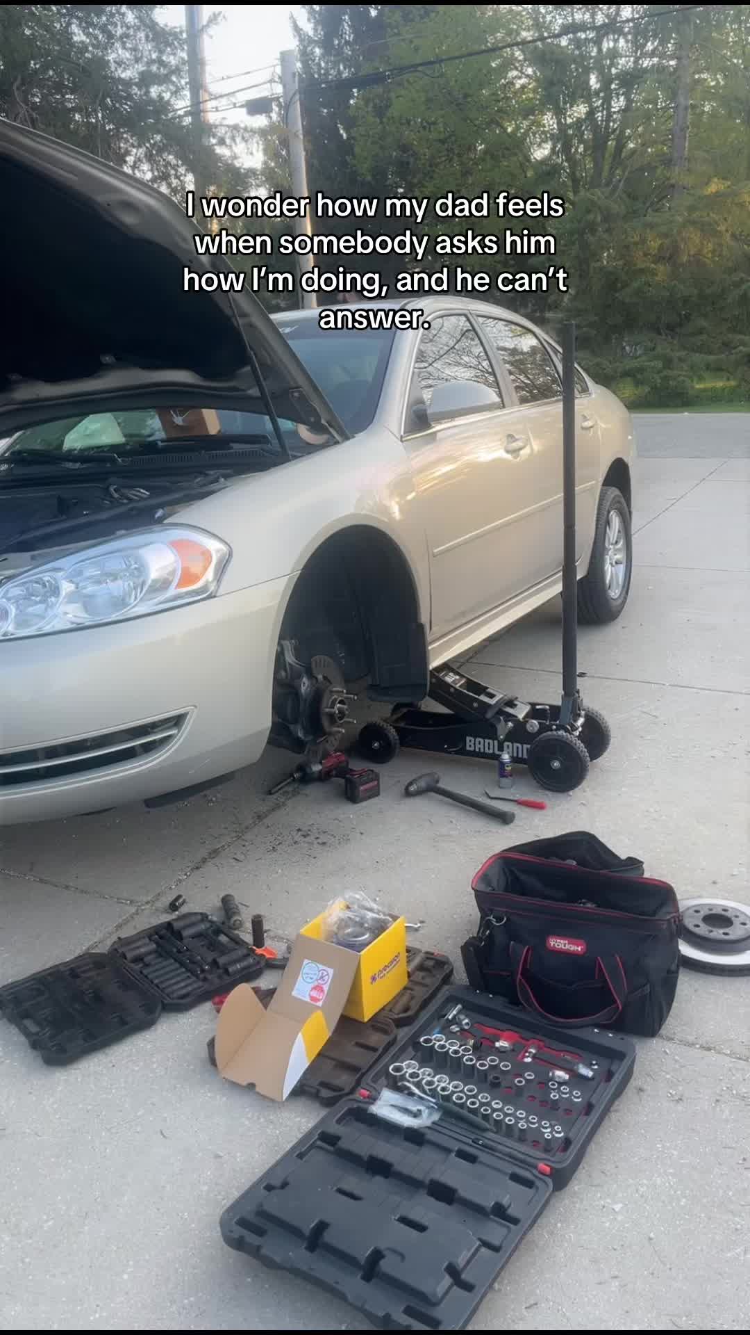 @flockin3.6