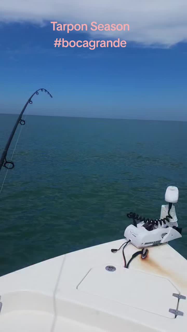 @Manasota Key Outfitters