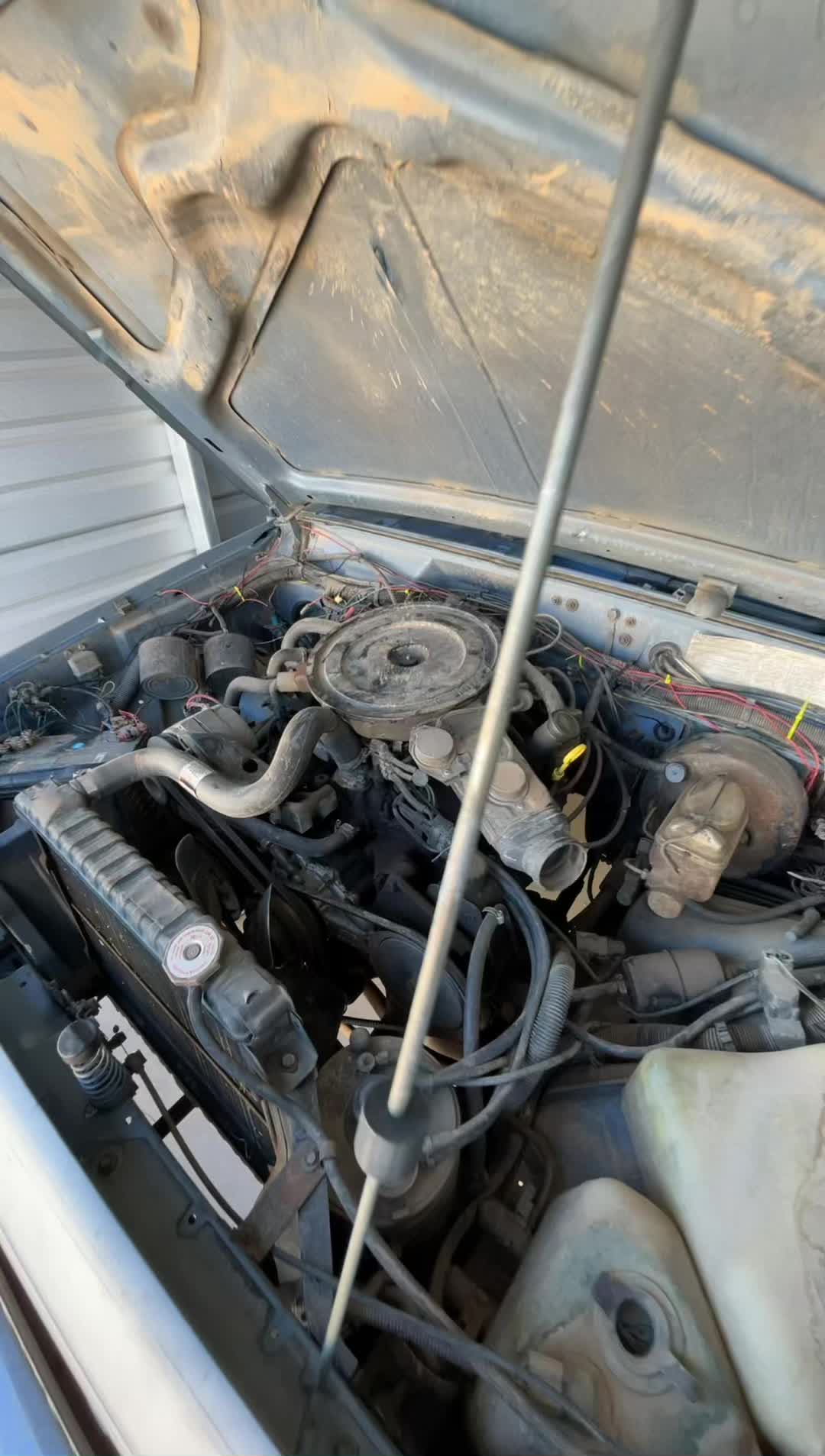 @LsX_Porter