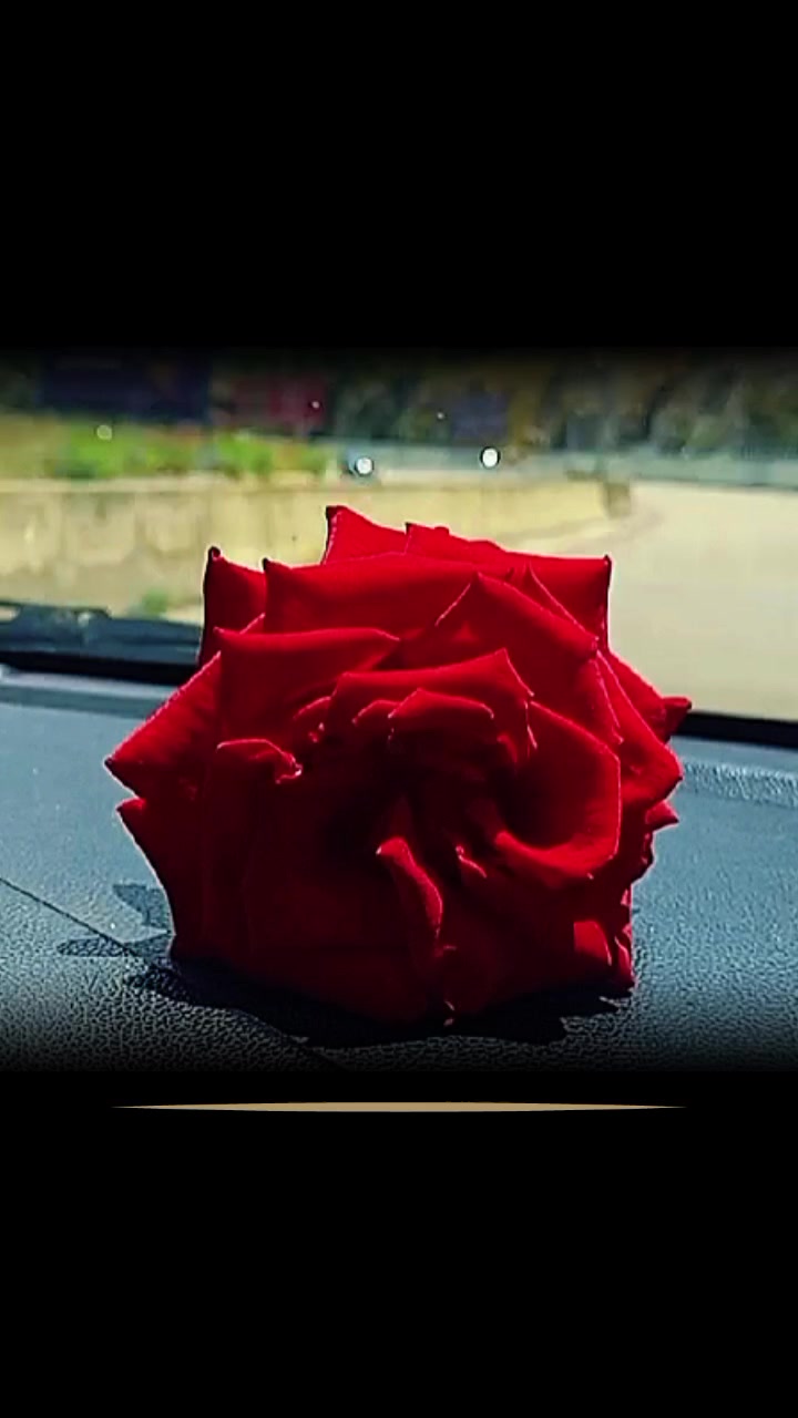 @lavendr81