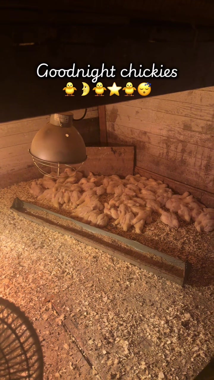 @FarmGirlRenee