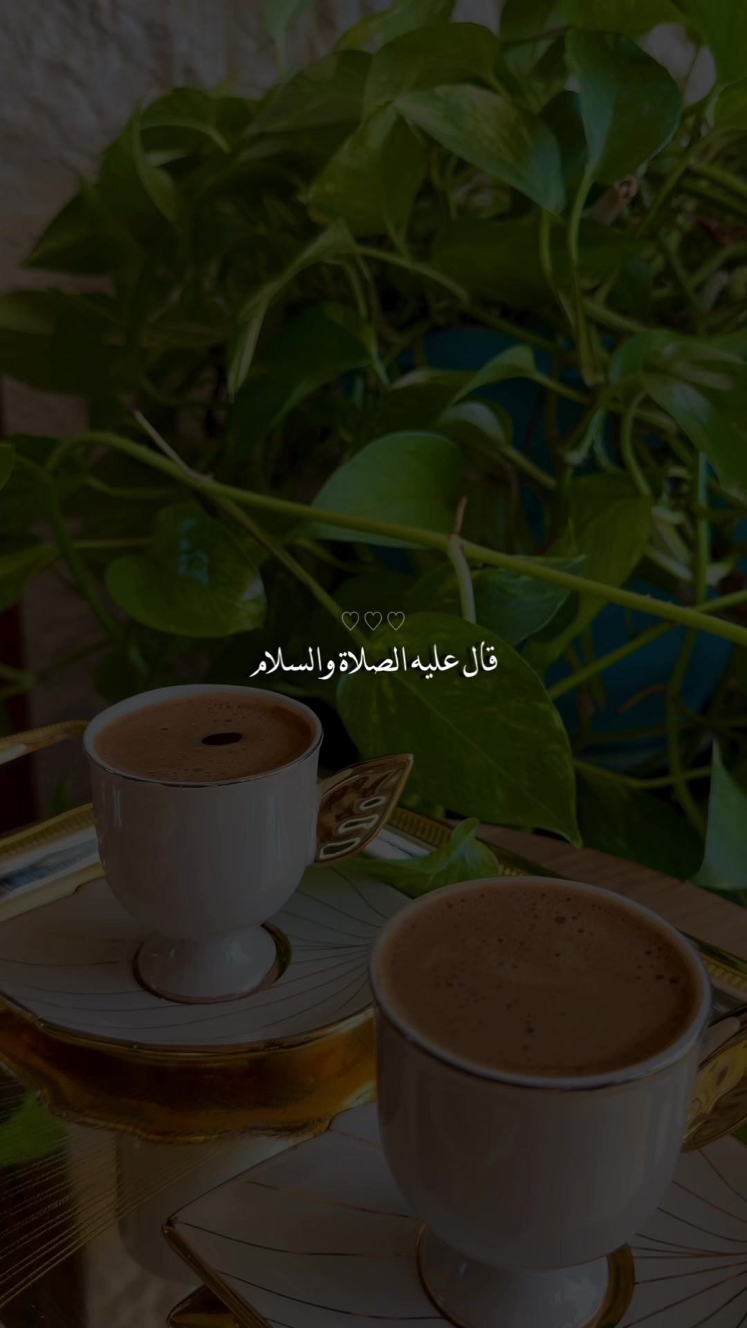 @HayoOsh M Diyab📷 ᥫ᭡