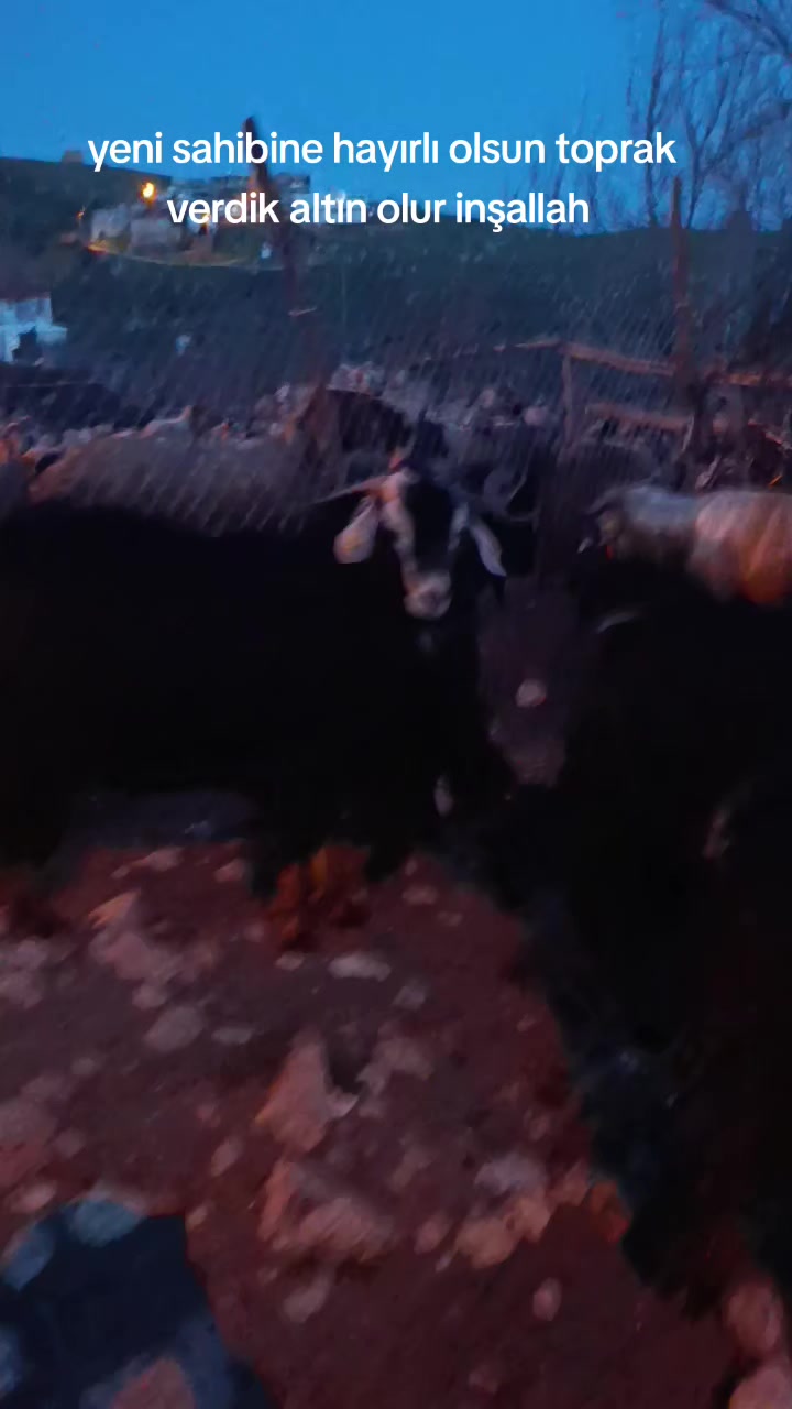@⚔️ENES &Ccedil;ETİN⚔️