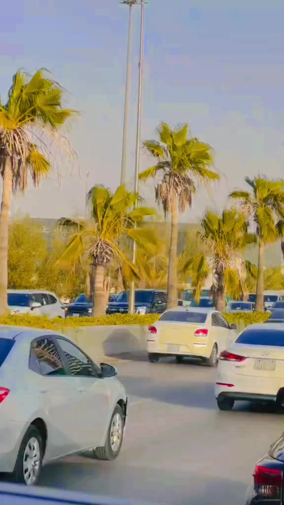 @🇸🇦🦅 ༄ اسداللہ ࿐804