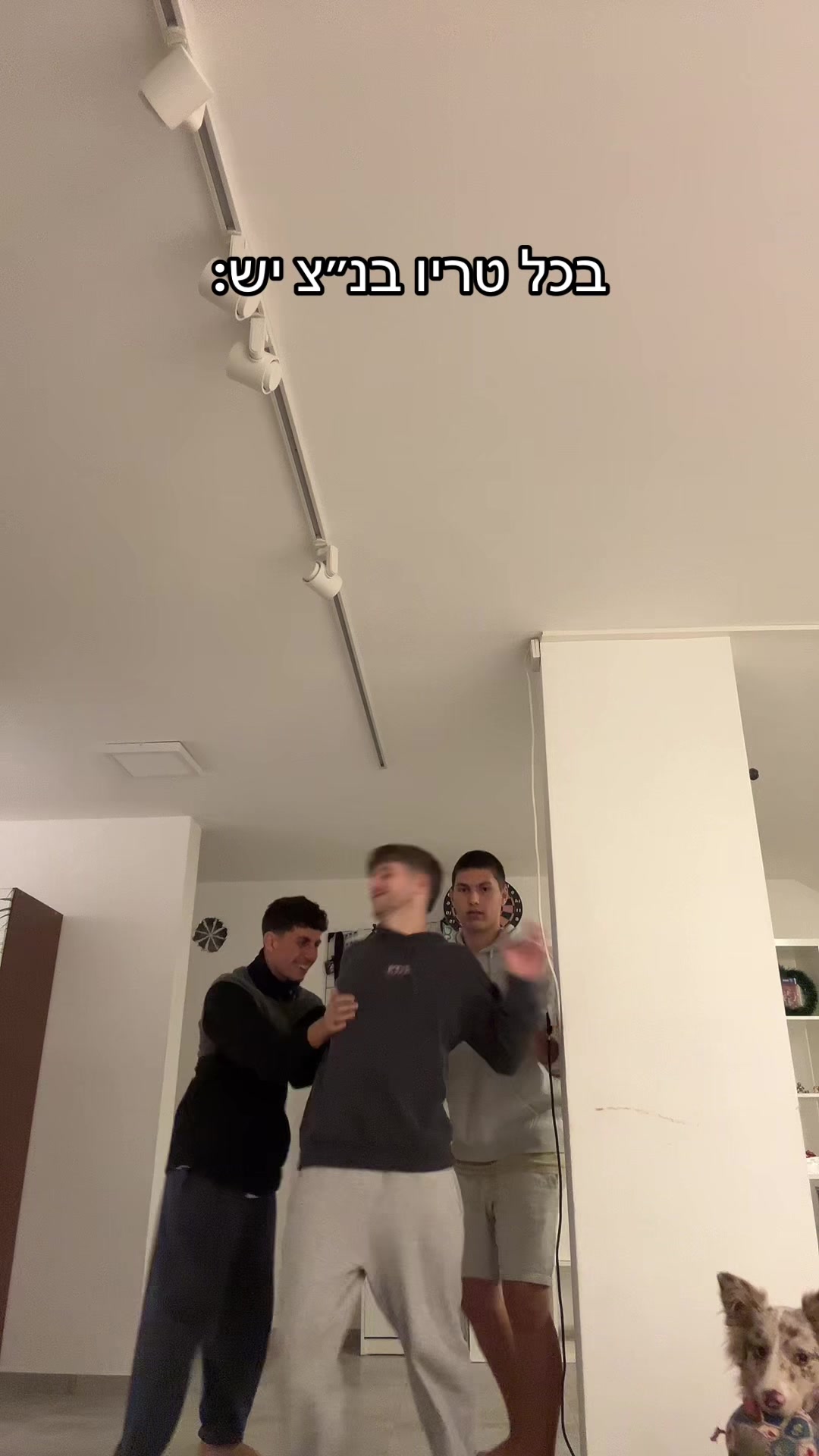 @Tzevet_aladdin