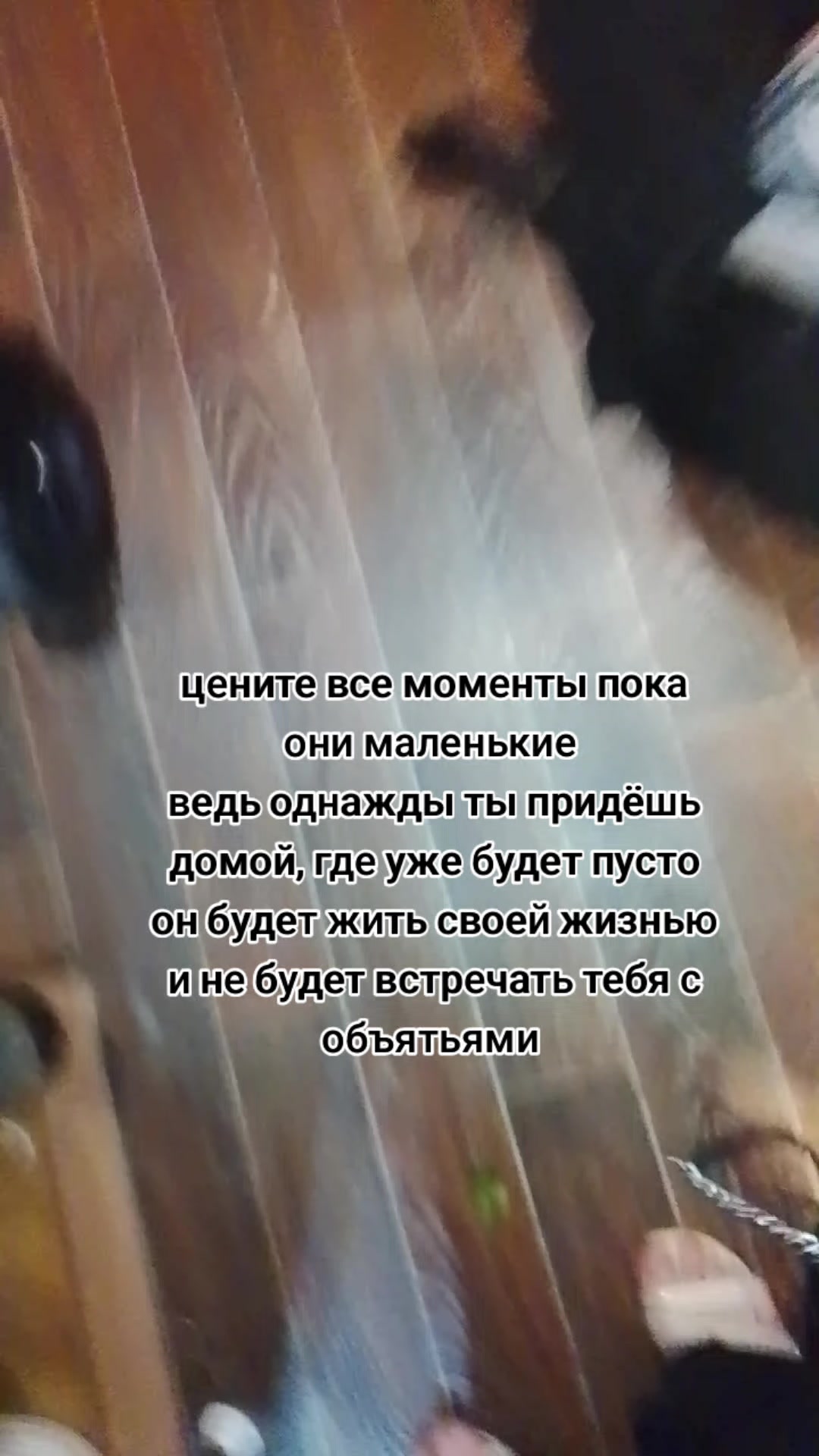 @Katyusha @