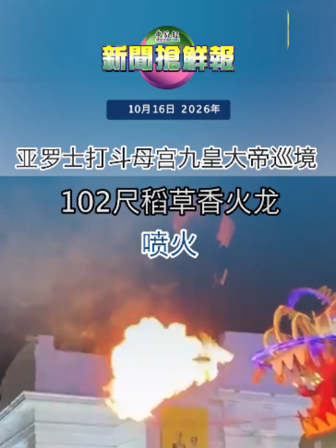 @中国报