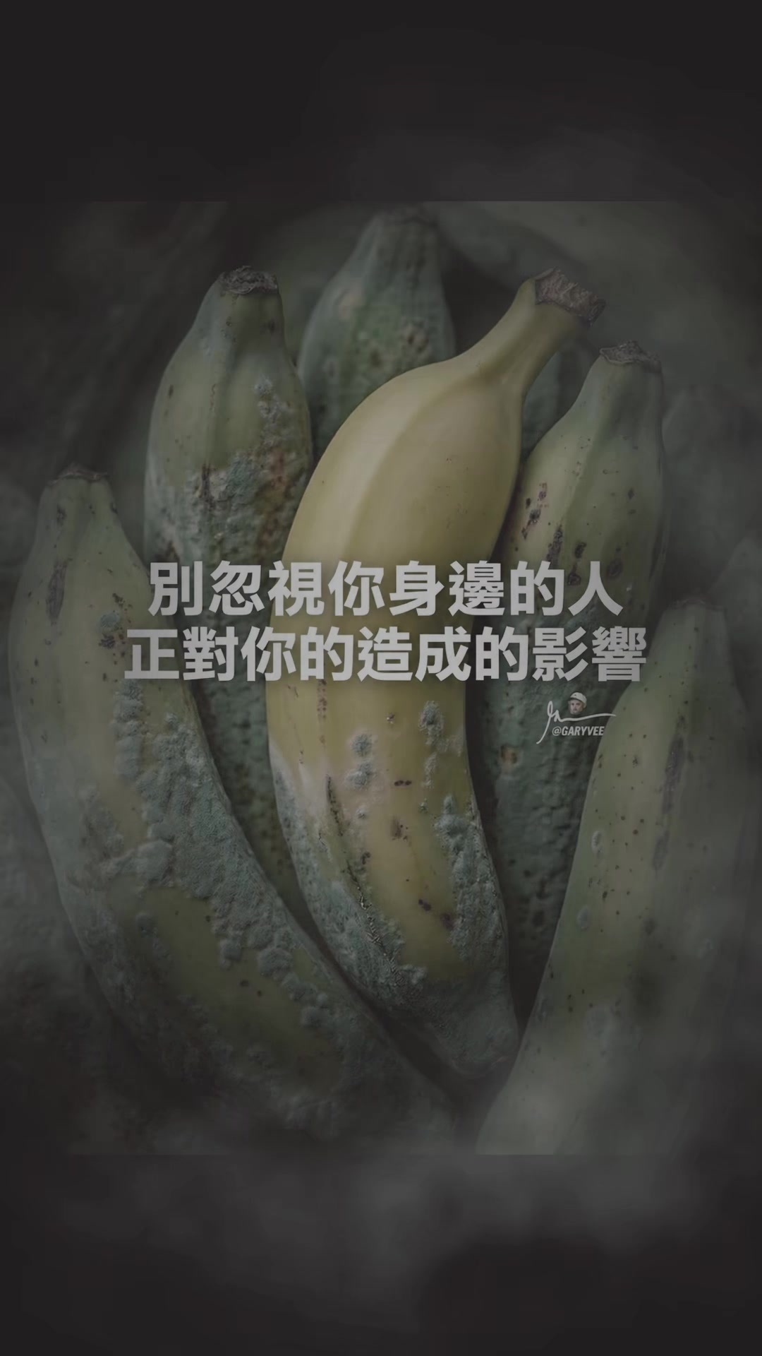 @加里·維納查克