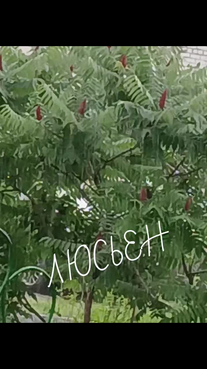 @💥💫_ЛЮСЬЕН_