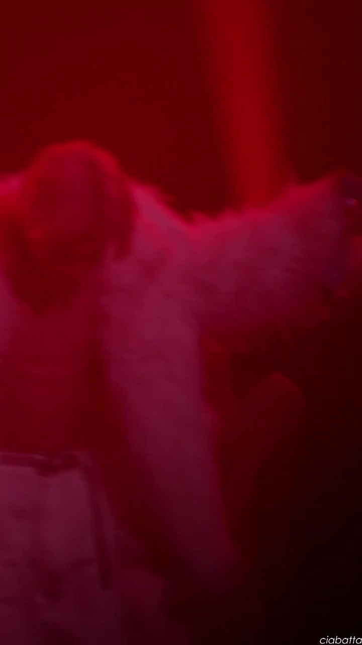 @soft violence 31/8