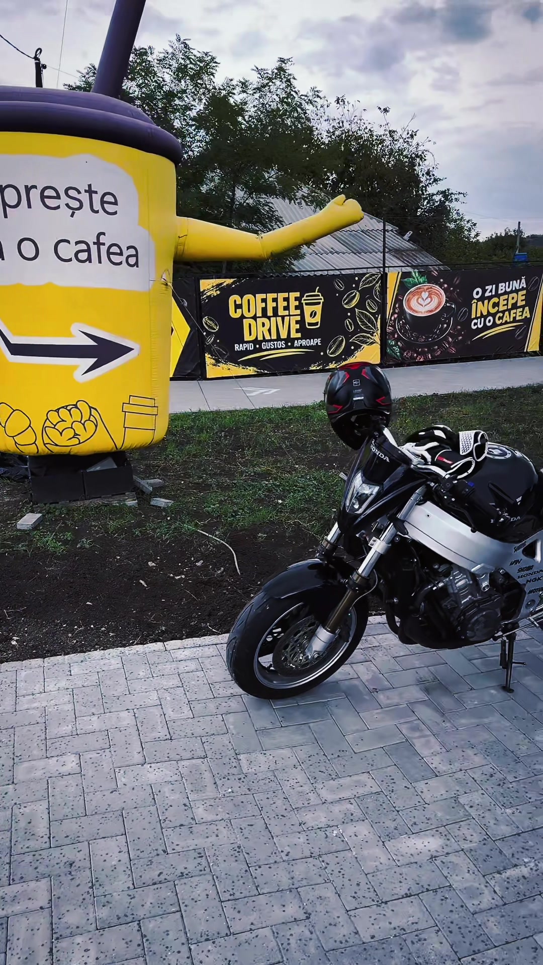 @Țîbulică