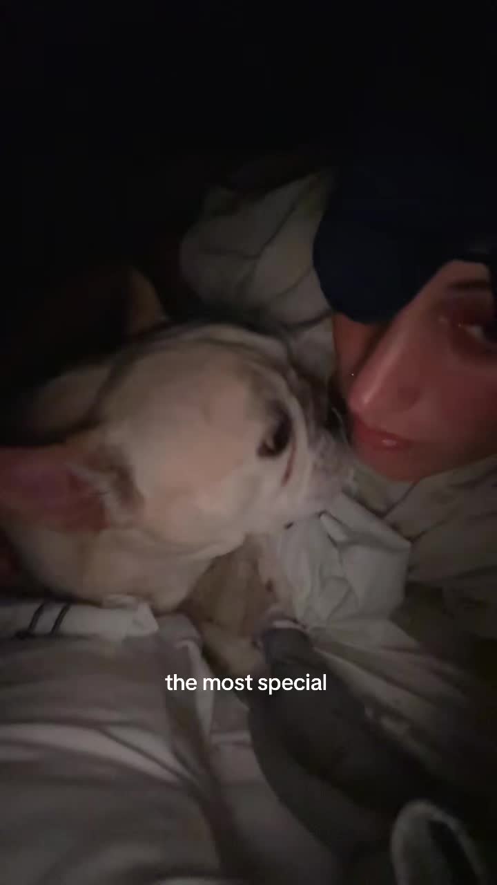 @jbrodacz16