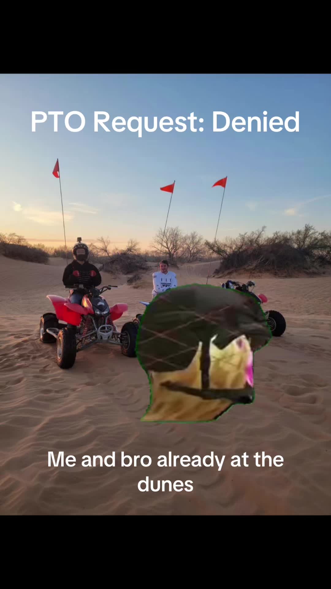 @brian_obs73
