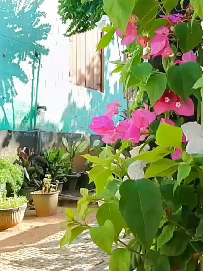 @ann2185 🪼🤍