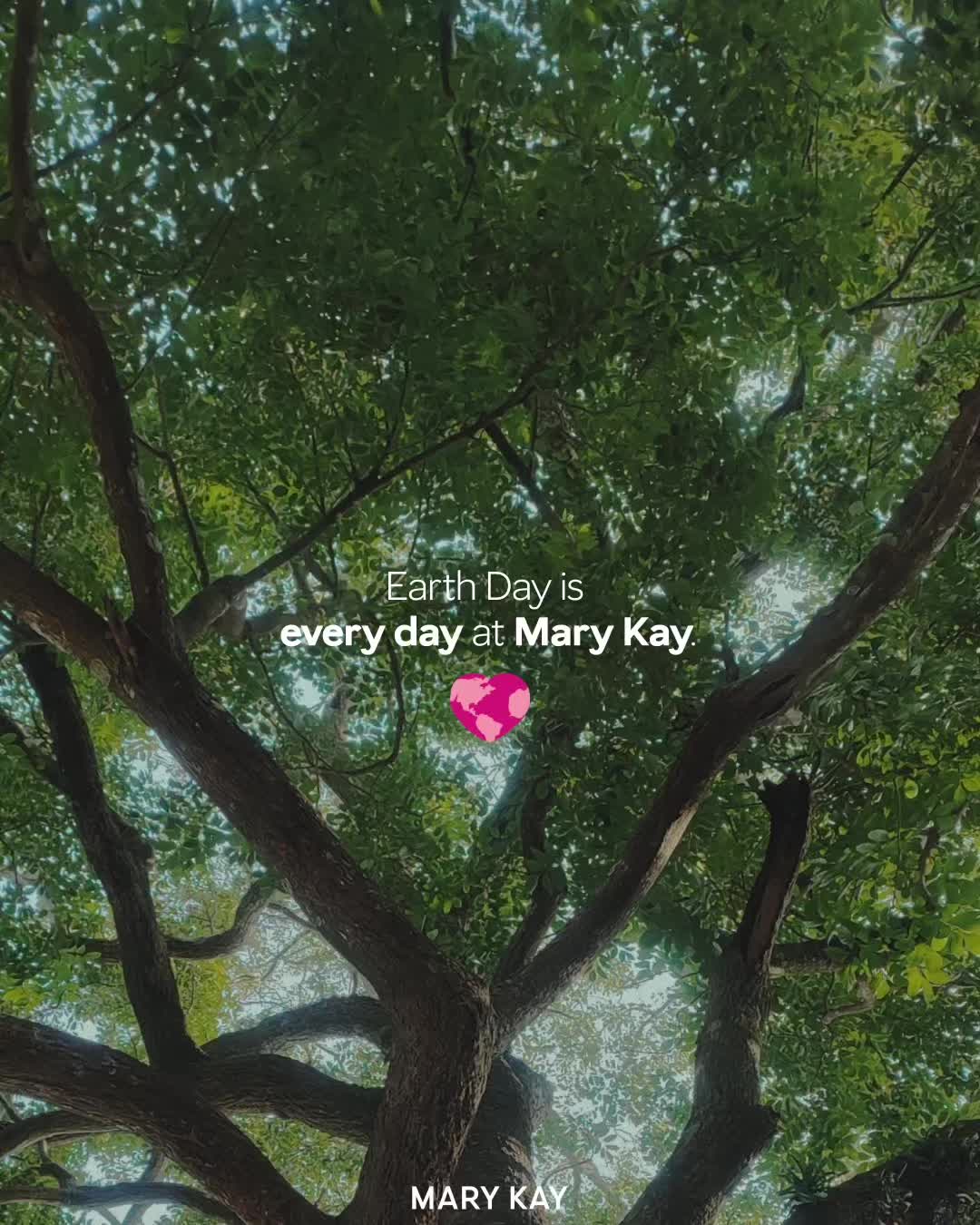 @Mary Kay Inc.