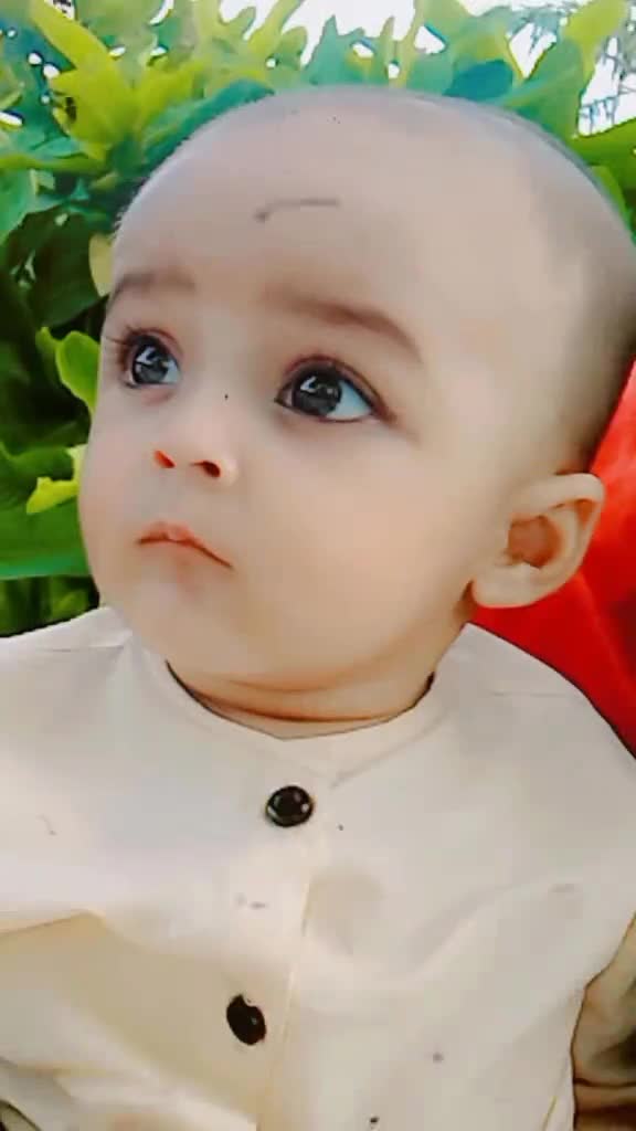 @Hamza gujrati 277