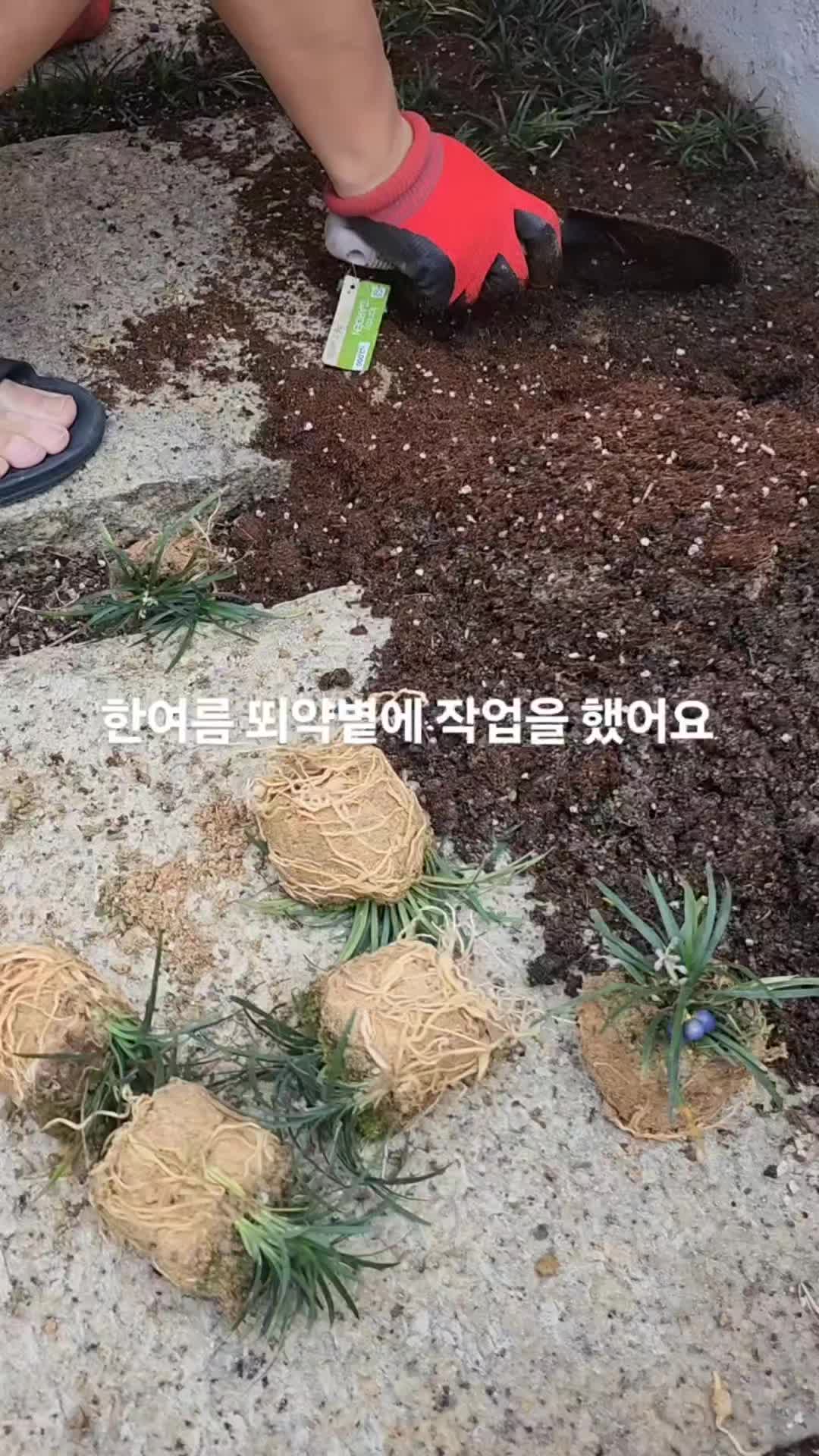 @부산감성숙소 월하정인