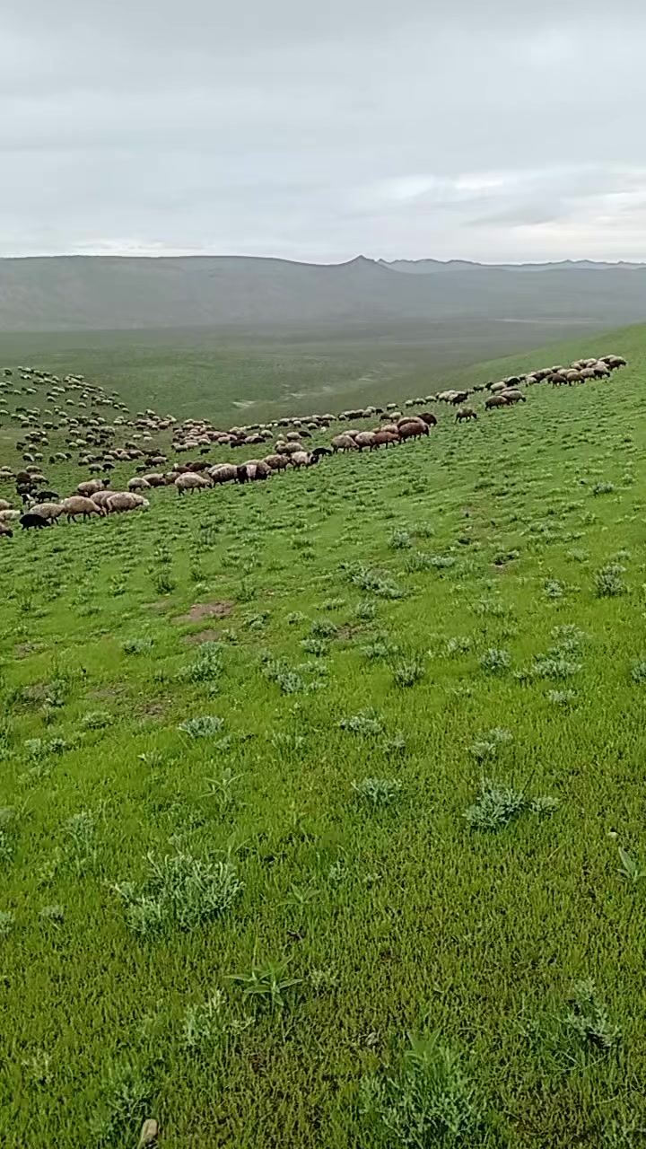 @Adil ceferov 61