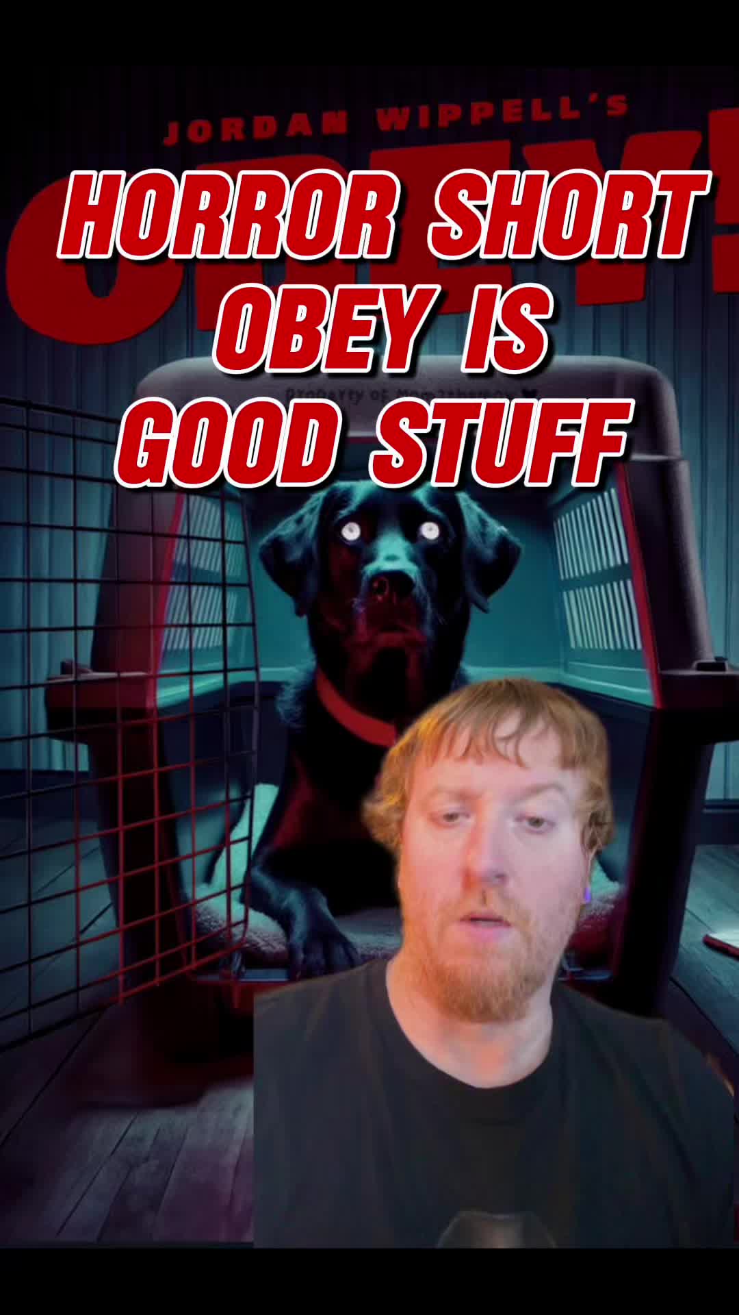 @TheMovieGinger