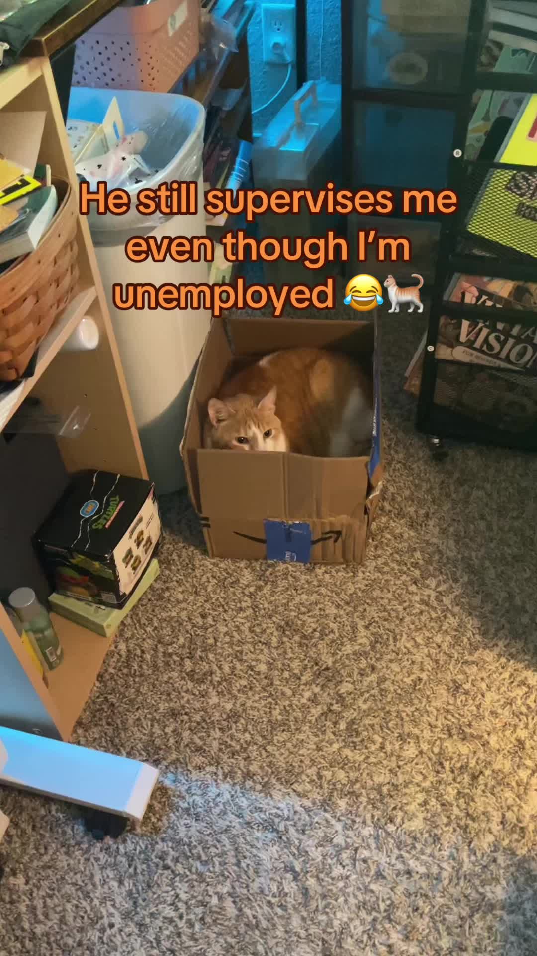 @Mapping Librarian