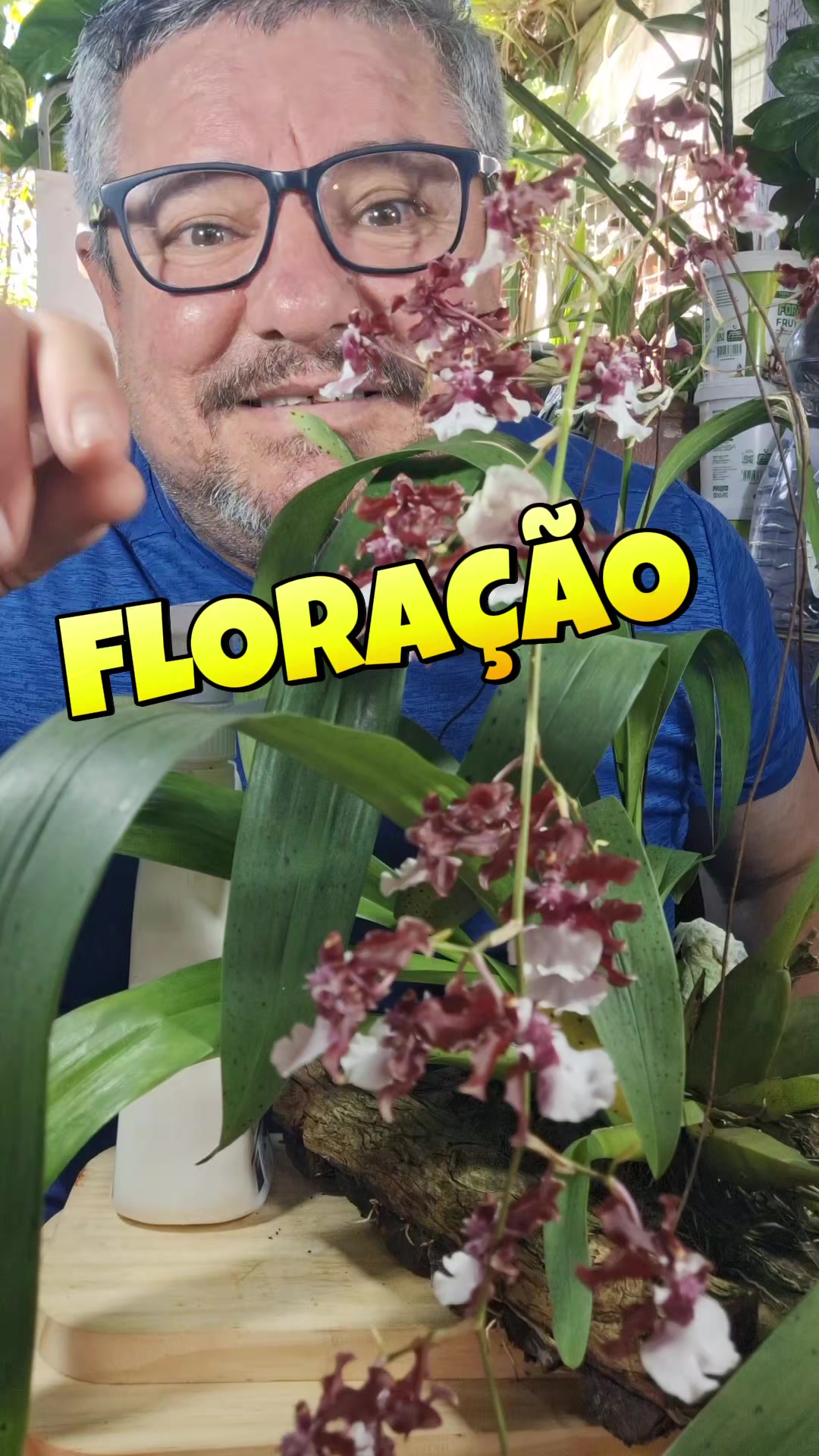 @ROÇA DO DRIM