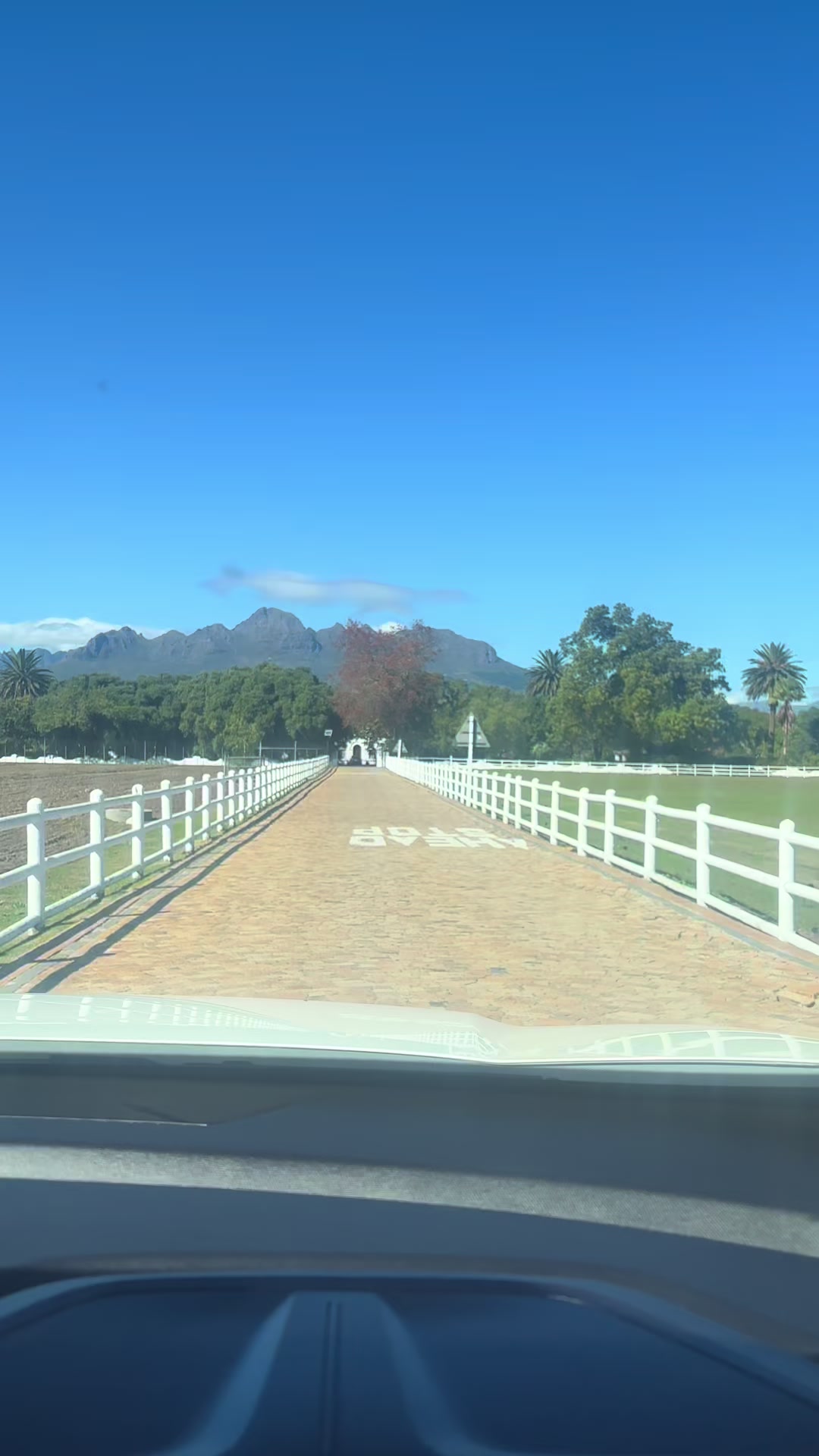 @Andre L Booysen