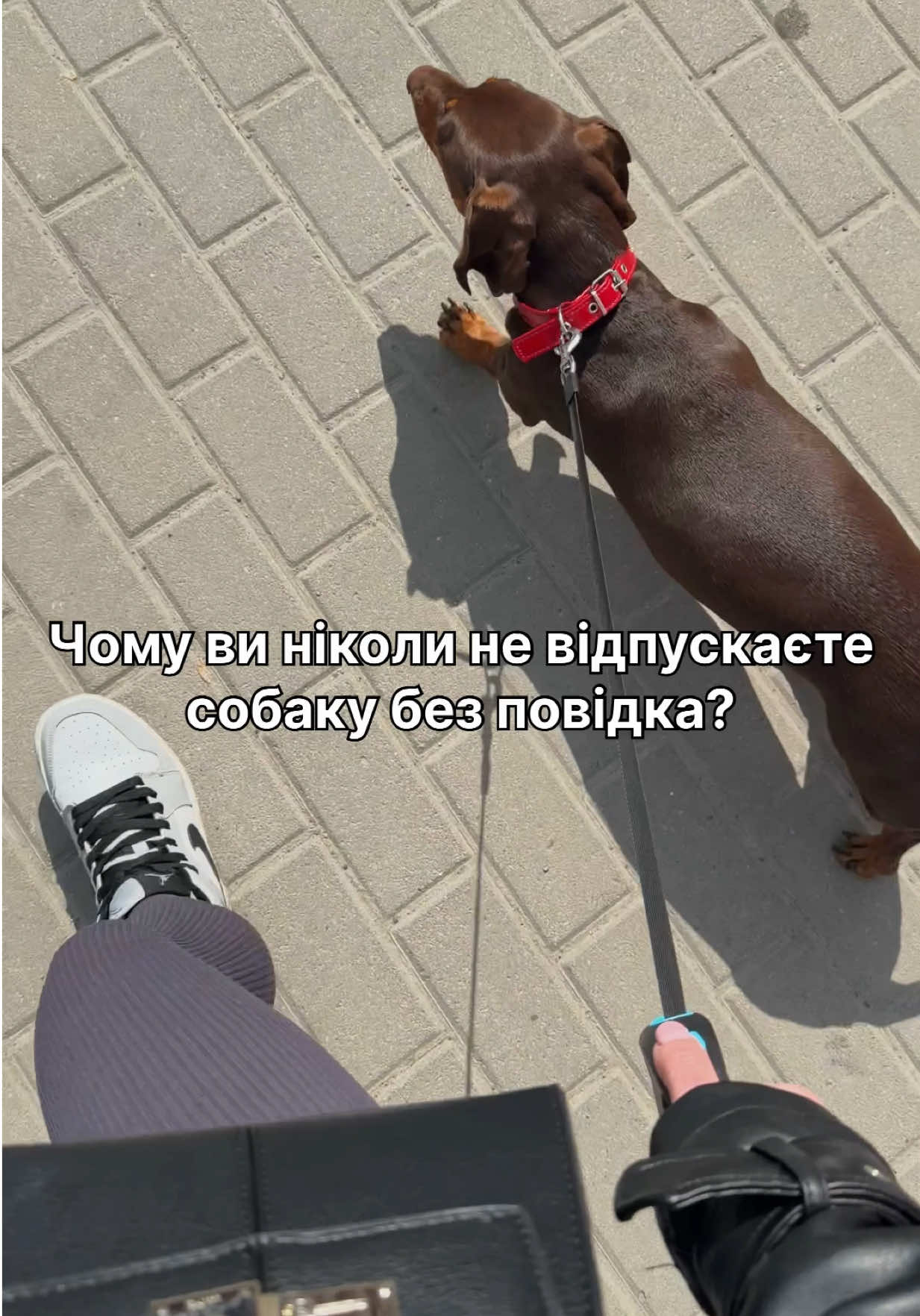 @Марта Габчак