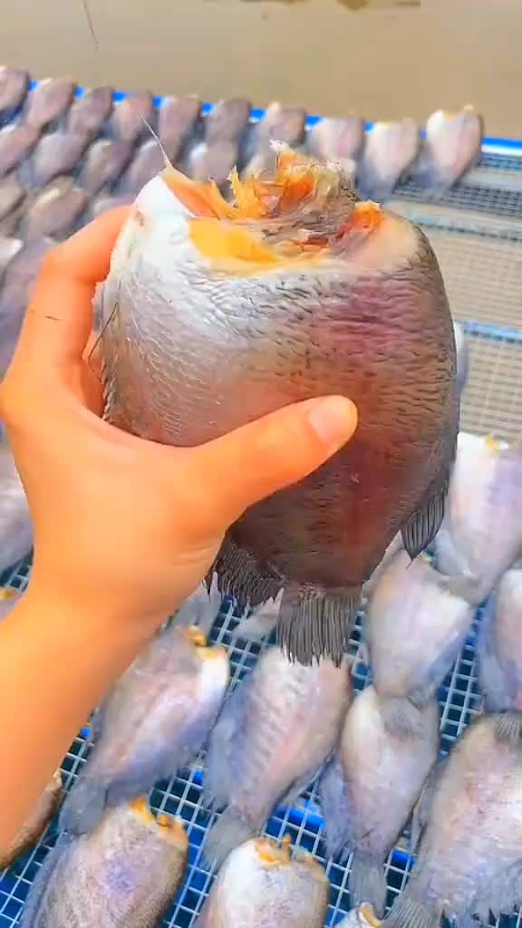 @FB:Quốc Kh&aacute;nh