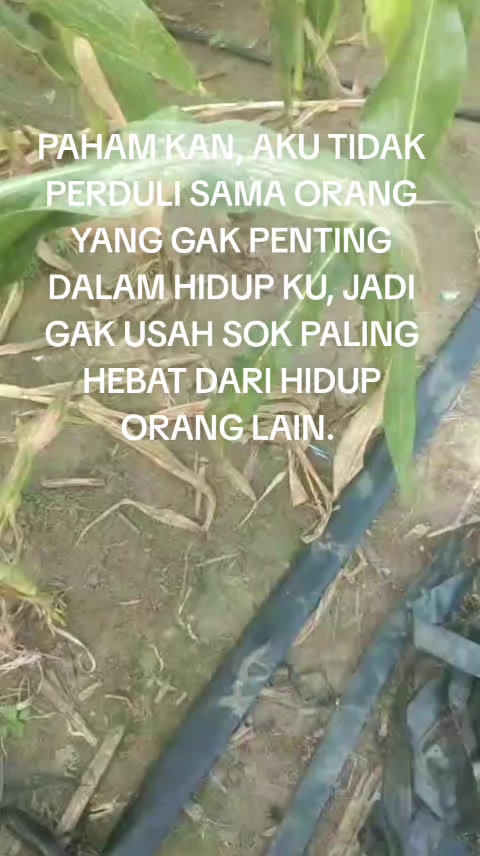 @MUHAMMAD RIZAL