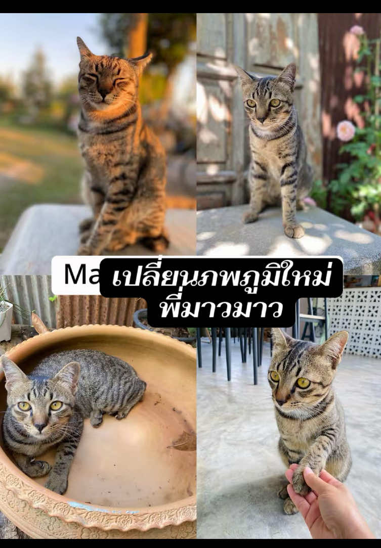 @กะปุก..งอกเงยดีคาเฟ่ เชียงราย