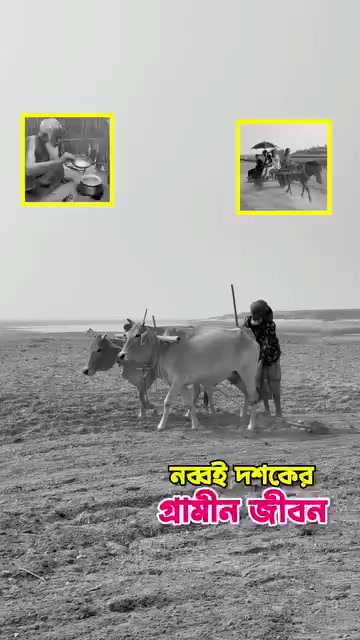 @Sobuj Chowdhory🇧🇩🇧🇷🇸🇦