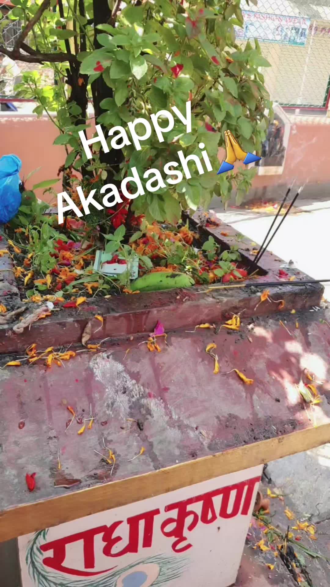 @Anita Dhakal