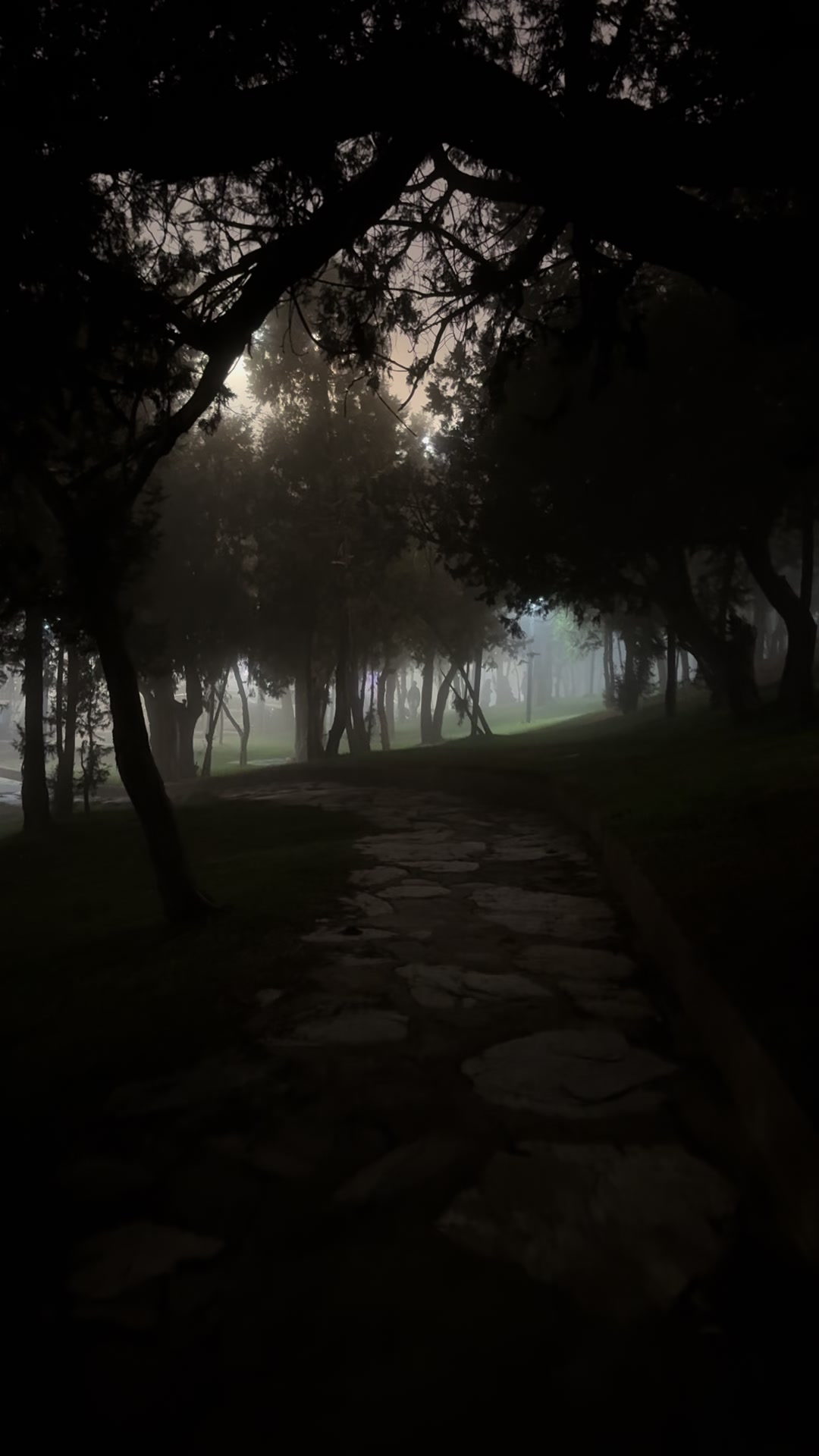 @✰🙋&zwj;♂️