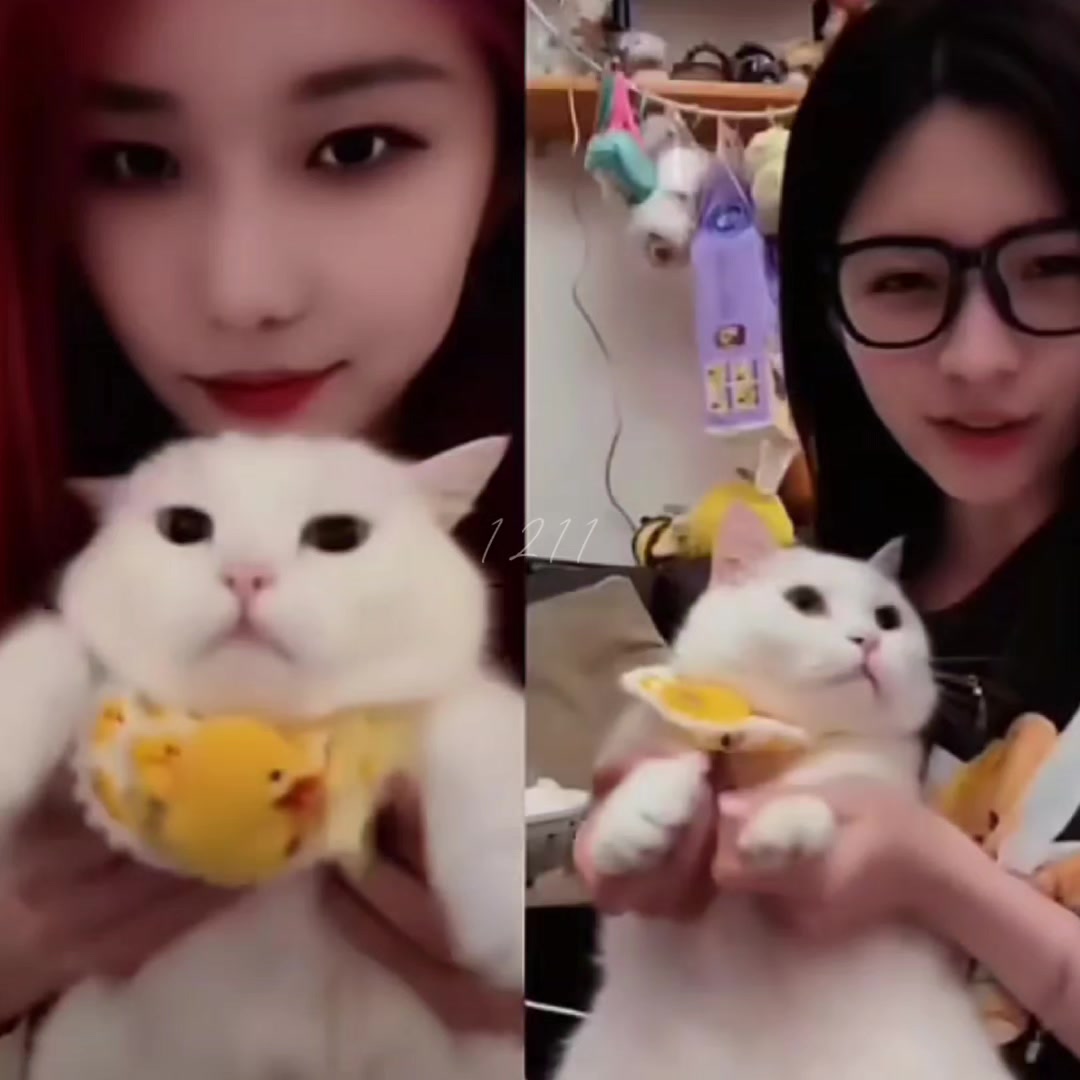 @đu tùm lum OTP