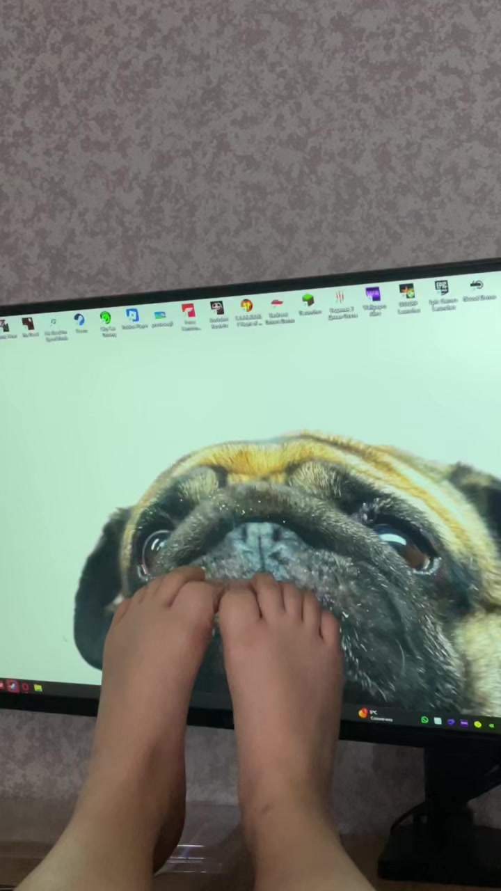 @n1ple