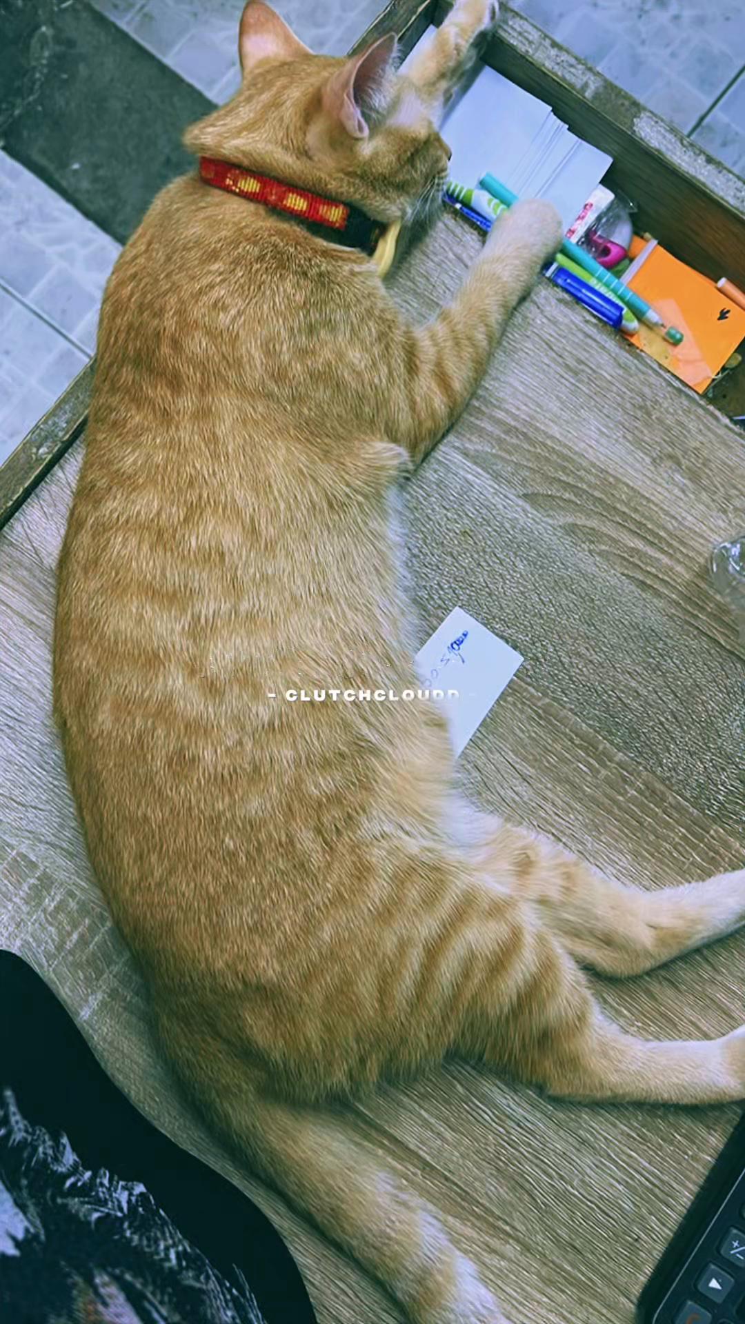 @แจง