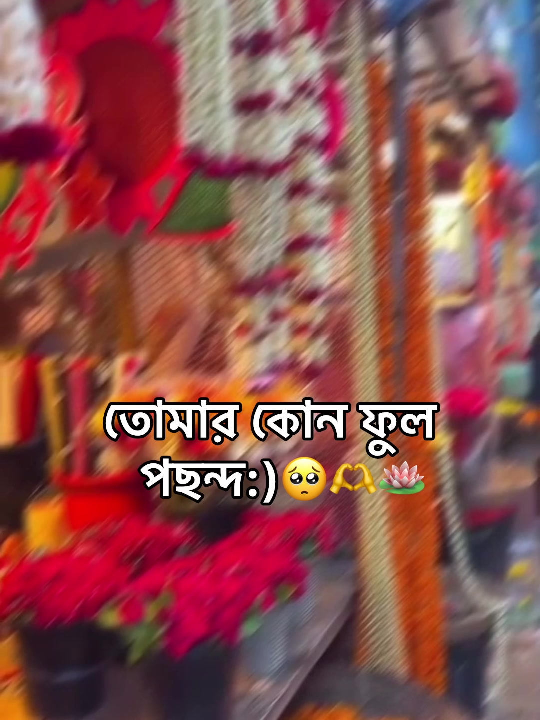 @🌚🐸>জাতির_বউ'মা<🐸🌚