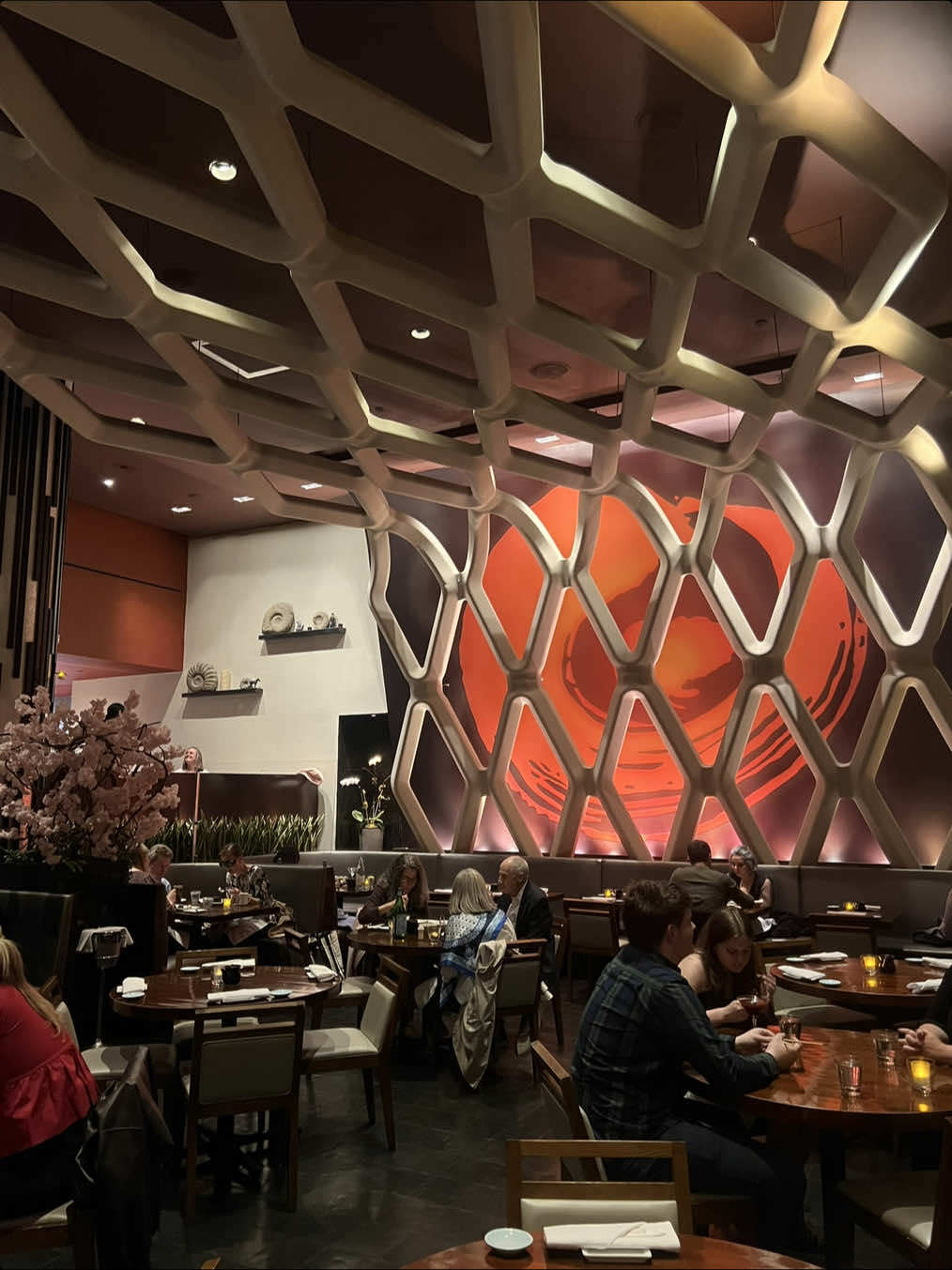 @Koi | LA & NY