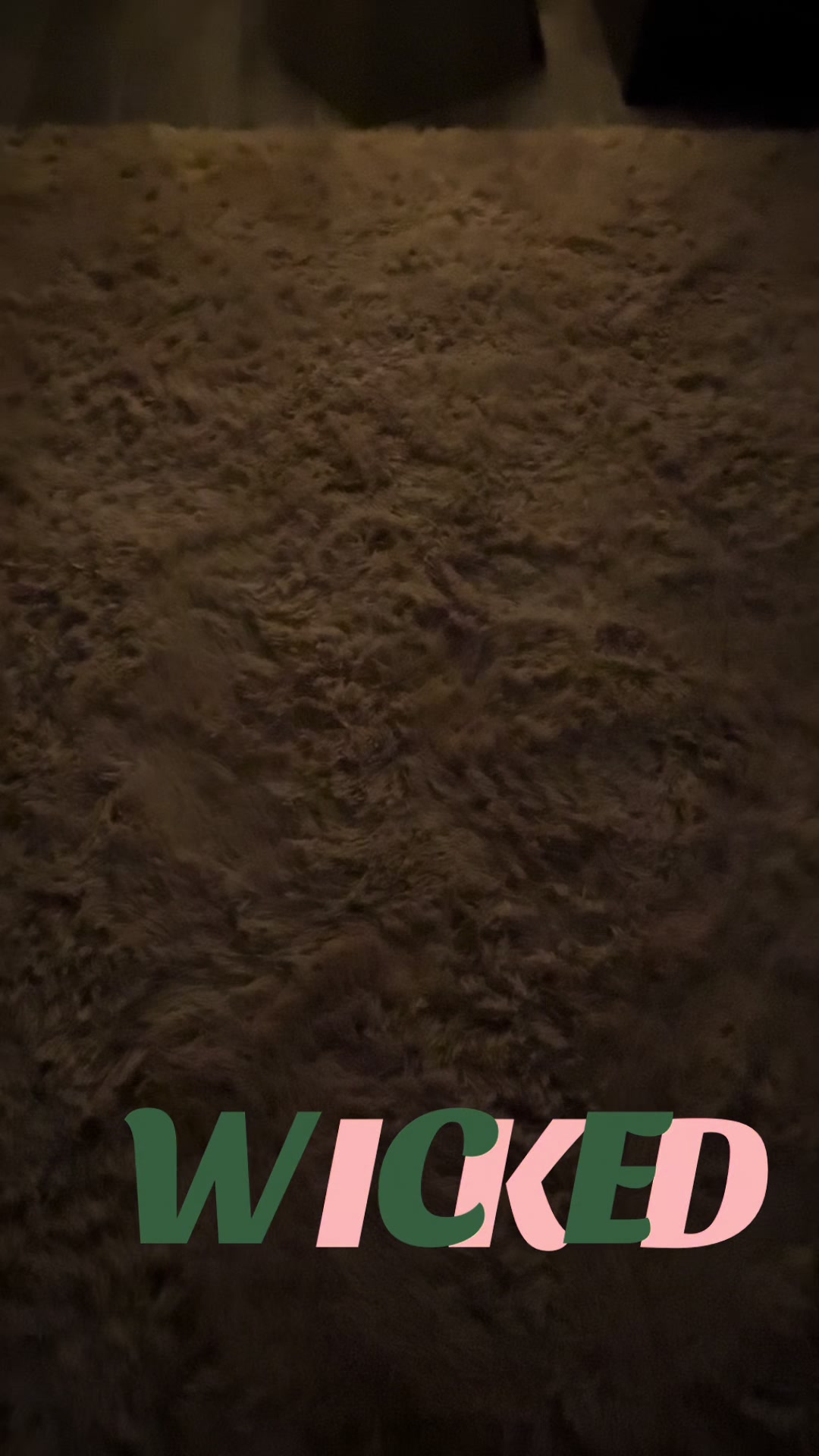@BWeaver_405