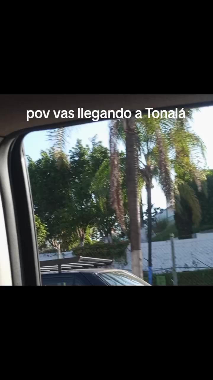 @nob m&aacute;ster 69