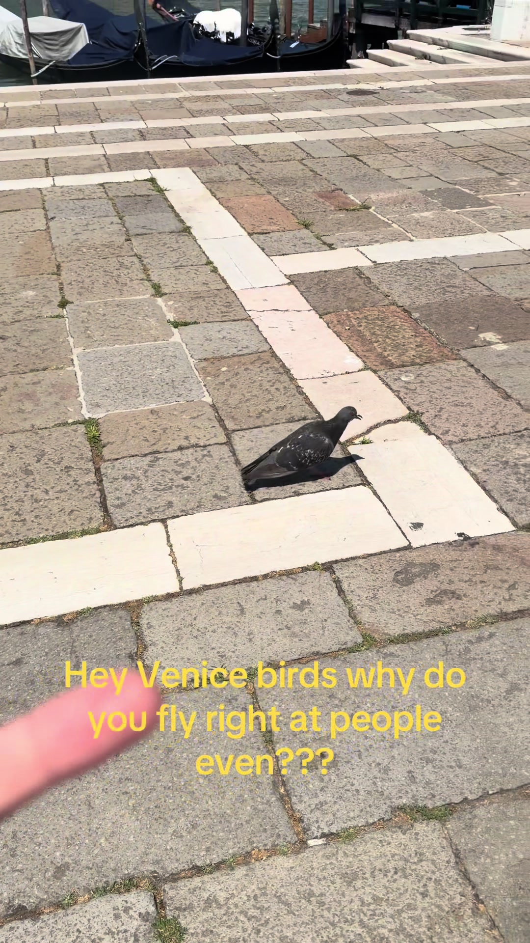 @muntertheguy