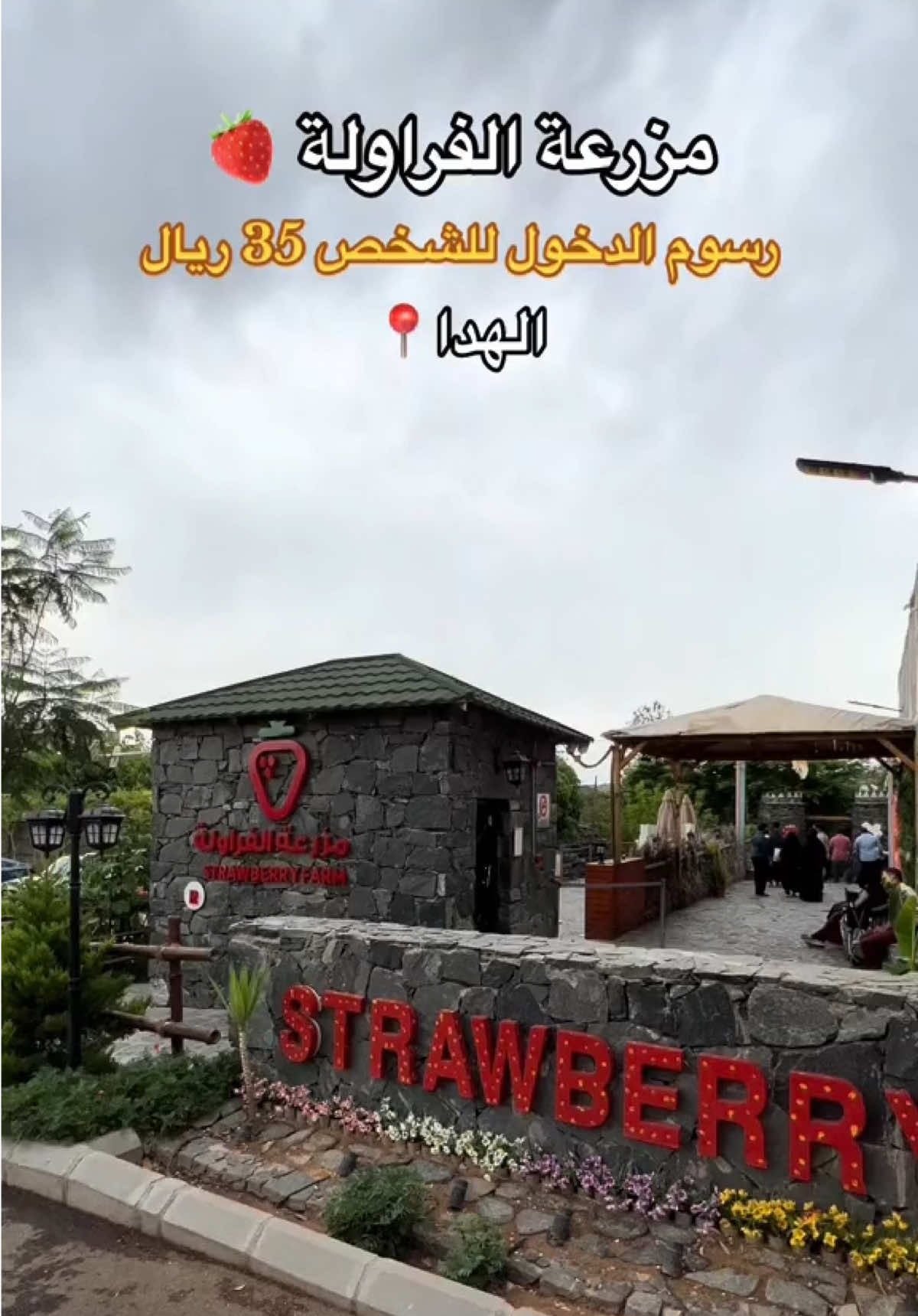 @NR | صدى الرياض