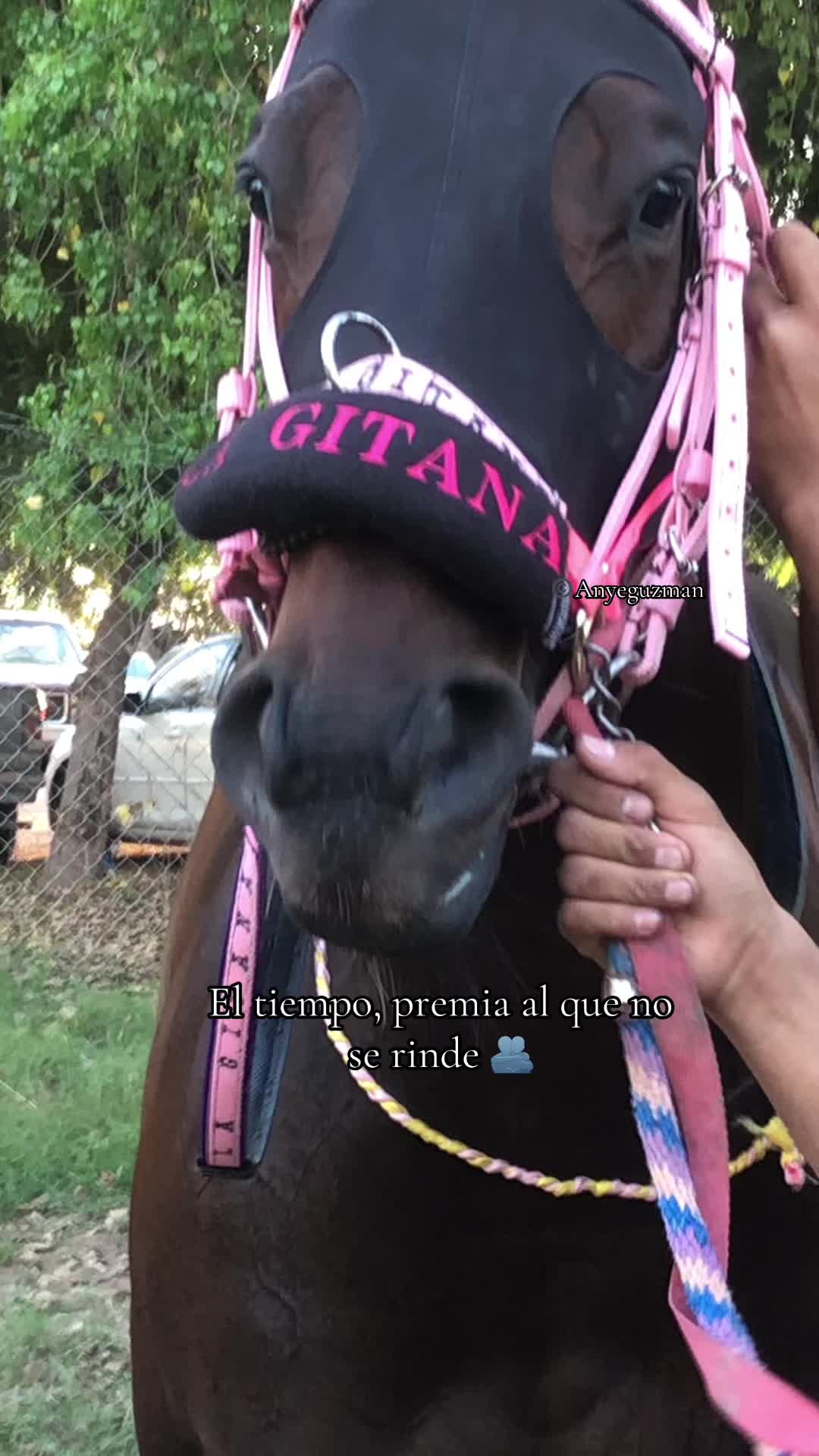 @Anye guzman🏇🏻