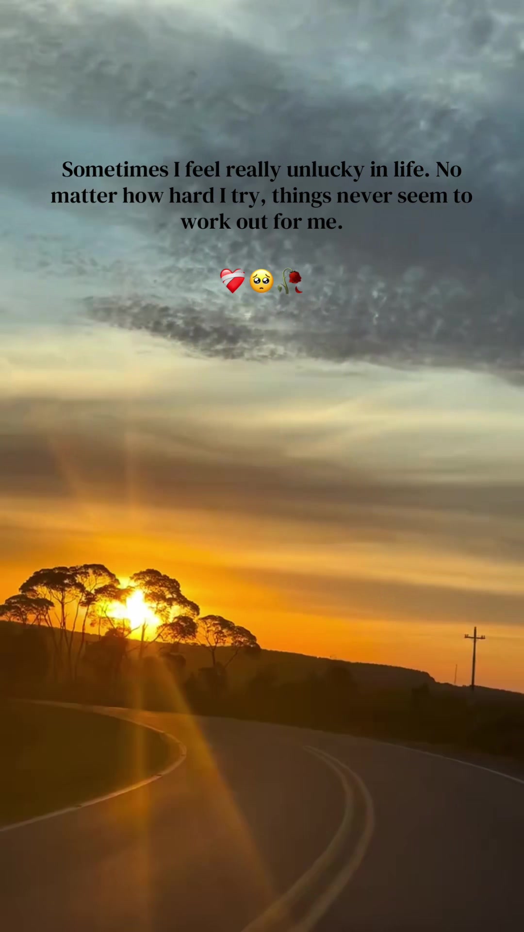 @JM.Janice Aan