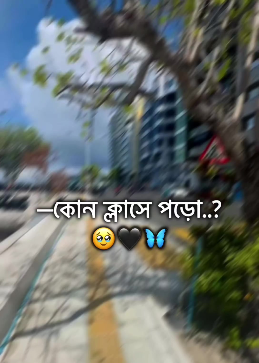 @🌚🐸>জাতির_বউ'মা<🐸🌚