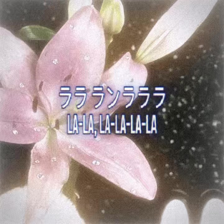 @ʕ &bull;ᴥ&bull;ʔ