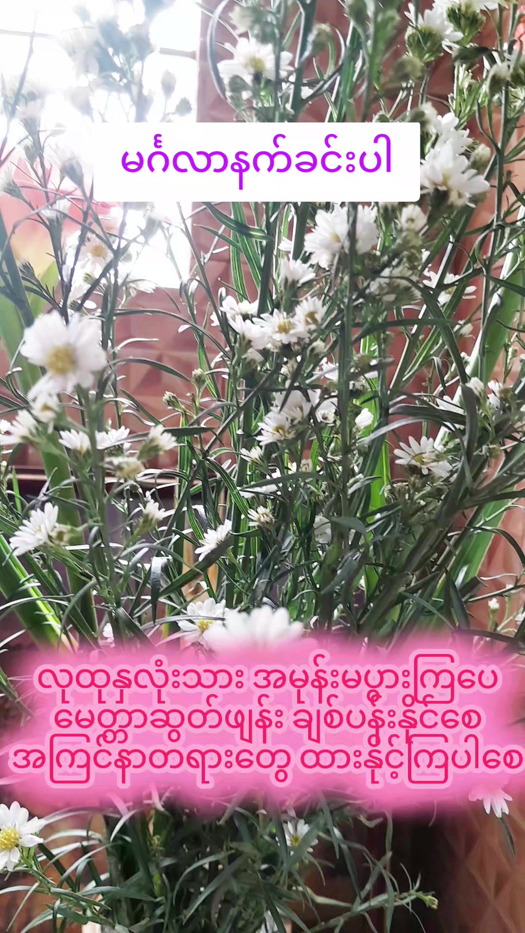 @Shwe Boke